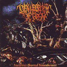 Disfigurement of Flesh - "Psychotonic Abnormal Dismemberment" Disfigurement of Flesh - "Psychotonic Abnormal Dismemberment"