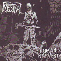 Intestinal - "Human Harvest" Intestinal - "Human Harvest"