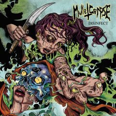 cover art for Disinfect by Mullet Corpse