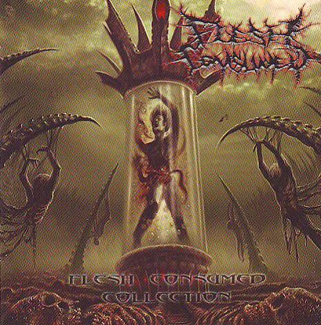 Flesh Consumed - Collection Flesh Consumed - Collection