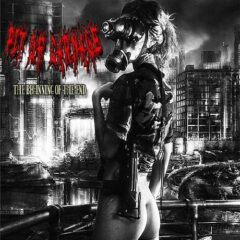 The Beginning of The End album art
