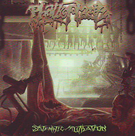 Cover for Phalloplasty - Systematic Mutilation
