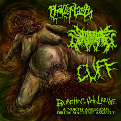 Cover for Bursting With Larvae