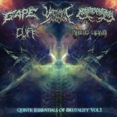 Quinte Essentials of Brutality Vol. 1