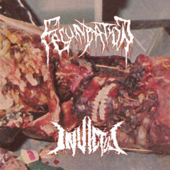 Fecundation / Invictus - Split CD