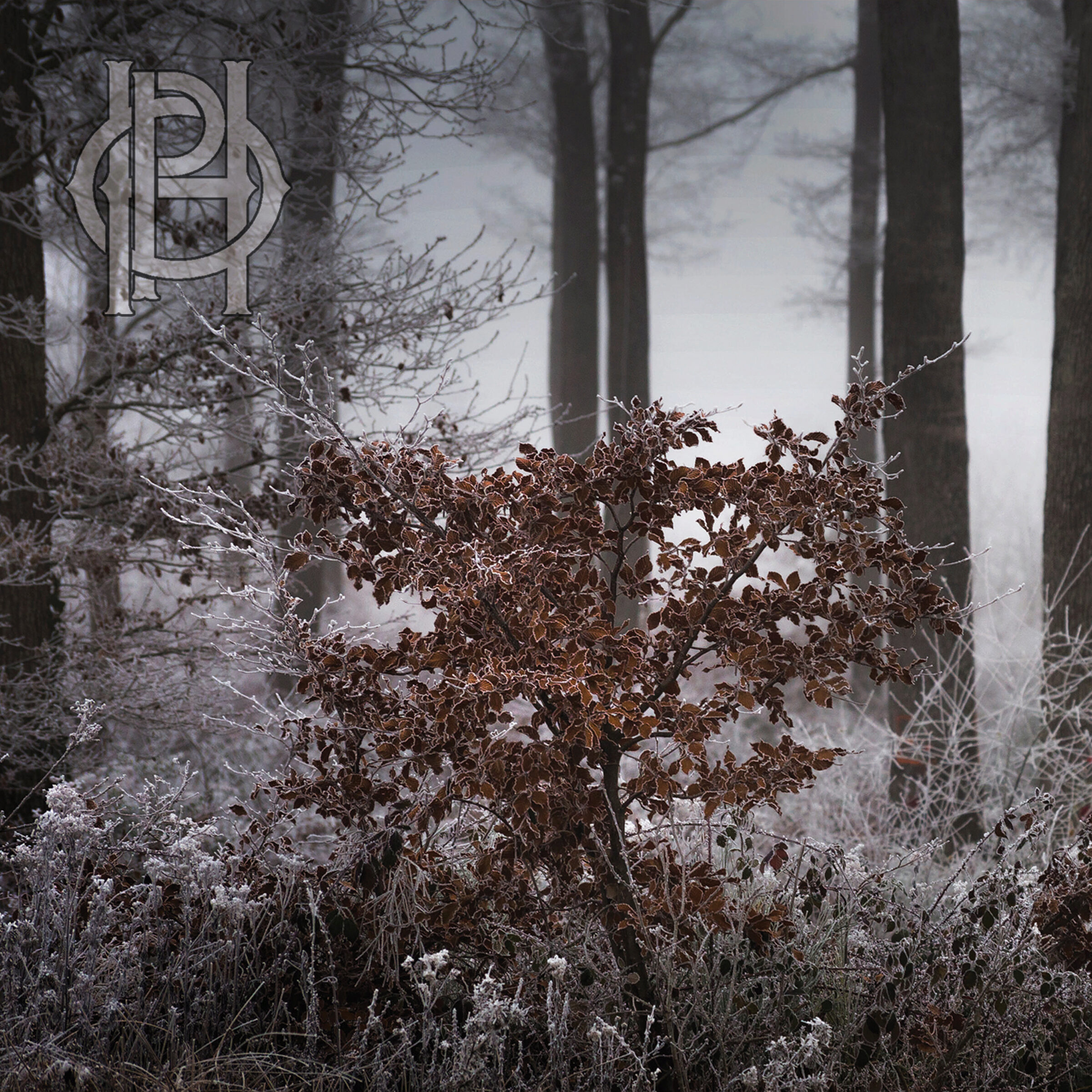 Hell Is Other People - Embrace Album art for Embrace by Hell is Other People