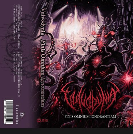 Vulvodynia - Finis Omnium Ignorantiam Vulvodynia - Finis Omnium Ignorantiam