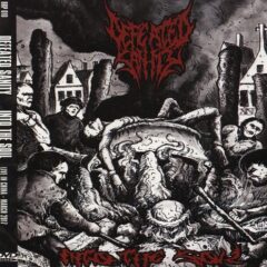 Defeated Sanity - Into the Soil - Live in China, March 2017 (DVD)