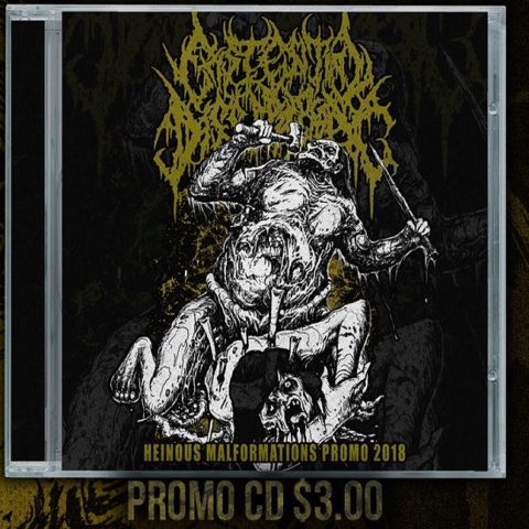 Existential Dissipation - Heinous Malformations Promo 2018 (Limited Demo CDR) Existential Dissipation - Heinous Malformations Promo 2018 (Limited Demo CDR)