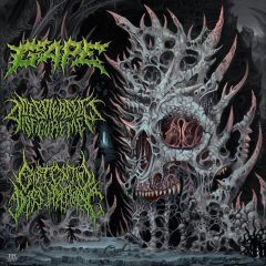 Cover art for International Solidification Split