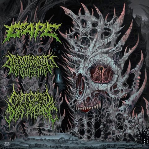 International Solidification - Gape / Displeased Disfigurement / Existential Dissipation (3-Way Split) Cover art for International Solidification Split