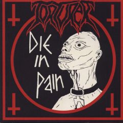 Cover for Torturer - Die In Pain