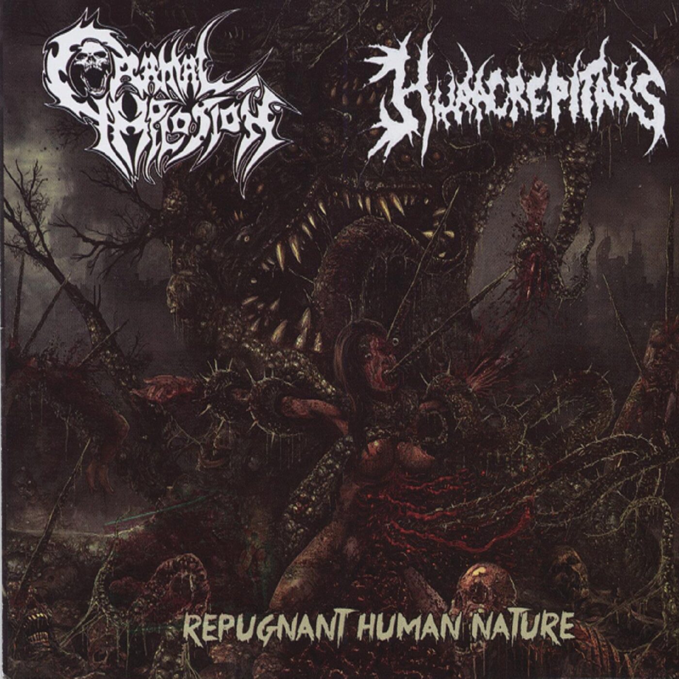 Cranial Implosion / Hura Crepitans - Split CD Cranial Implosion / Hura Crepitans - Split CD