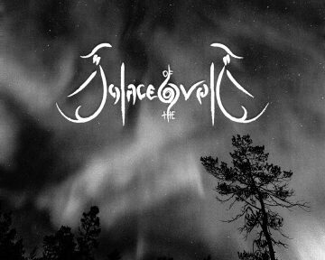 Cover art for Solace of the Void