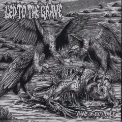 Led to the Grave - Bane of Existence