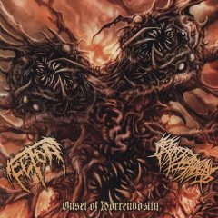 Fetor / Crepitation - Onset Of Horrendosity