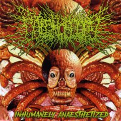 Colonoscopy - Inhumanely Anaesthetized