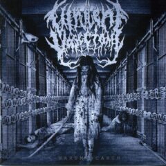 Virulent Vasectomy - Harum Scarum
