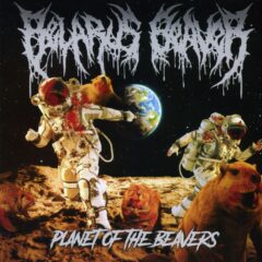 Belarus Beaver - Planet of the Beavers Belarus Beaver - Planet of the Beavers