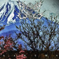 Breath of Wind - Sakura