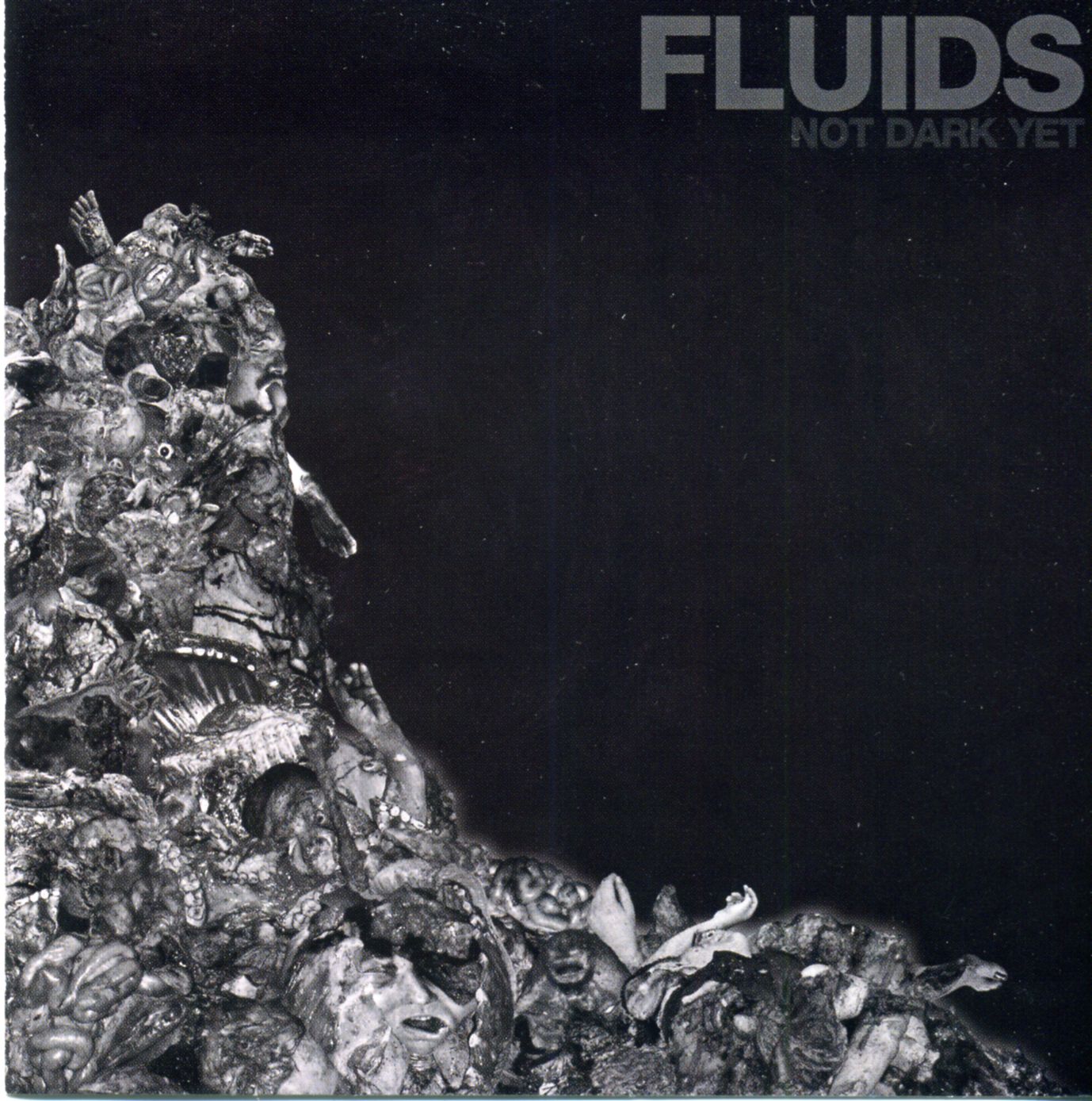 Fluids - Not Dark Yet Fluids - Not Dark Yet
