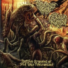 Perversity Denied / Fatuous Rump - Perpetual Devouring of Splattered Putrid Organs