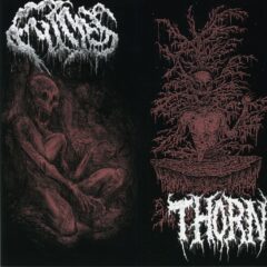 Fumes / Thorn - Split CD