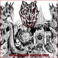 Cover art for Sanctuary of the Vile by Thou Shalt Not