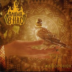 Flame in us - Zhavoronok
