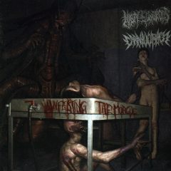 Nasty Surgeons / Carnivoracy - Infecting the Morgue Nasty Surgeons / Carnivoracy - Infecting the Morgue