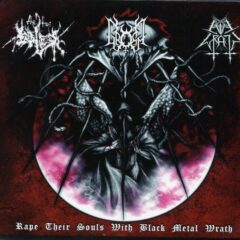Evil Wrath / Gromm / The True Endless - Rape Their Souls With Black Metal Wrath (Digi Pak)