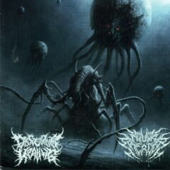 Dissociative Healing / Repulsive Creation - Rakka Split