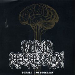 Blind Regression - Phase I : No Progress
