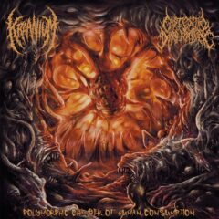 Cover art for Kraanium Existential Dissipation split