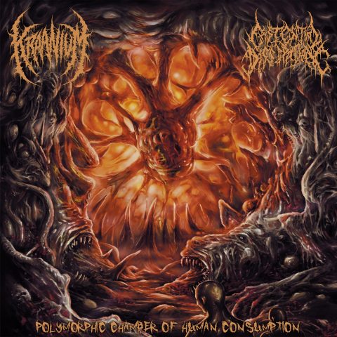 Kraanium / Existential Dissipation - Polymorphic Chamber of Human Consumption Cover art for Kraanium Existential Dissipation split