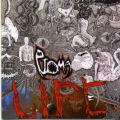 Ptoma - Life