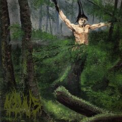 Nemus - Forest-Human Nemus - Forest-Human