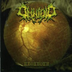 Omnioid - 22022022