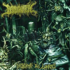Bodysnatch - Instigate The Lunatics