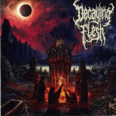 Decaying Flesh - Virtuous In Suffering