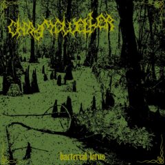 Chasmdweller - Bacterial Lotus (Digi Pak)