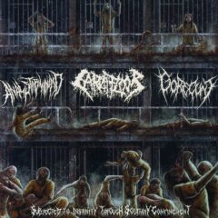 Anal Stabwound / Carnifloor / Gorecu*t - Subjected to Insanity Through Solitary Confinement