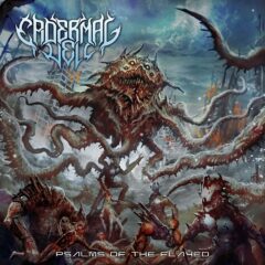 Epidermal Veil - Psalms of the Flayed