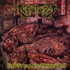 Teratology - The Lingering Stench Of Anatomopathological Scum