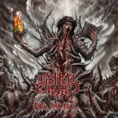 Cover art for Hail and Kill