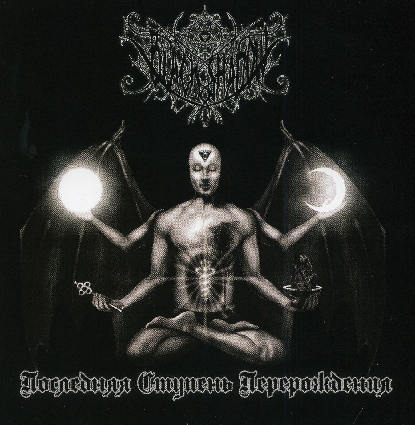 Black Shadow - The Last Stage of Transformation Black Shadow - The Last Stage of Transformation