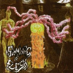 Summoning of Flesh - Born From Gore