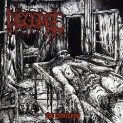 Disgorge - Old Mortuary