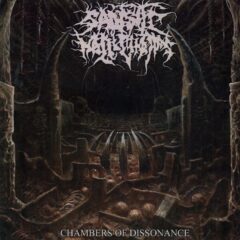 Sadistic Hallucinations - Chambers Of Dissonance