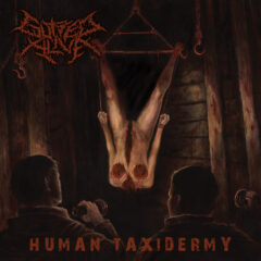 Gutted Alive - Human Taxidermy